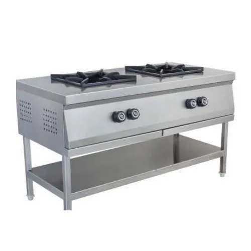 SS Double Burner Cooking Range